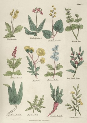 Lot 132 - Culpeper (Nicholas). The British Herbal and Family Physician, Halifax: M. Garlick, [1816?]