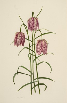 Lot 639 - Pickles (Kathy, 20th/21st Century). Fritillaria Meleagris, 1995