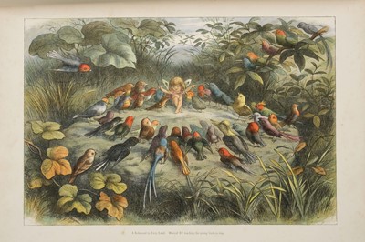 Lot 449 - Doyle (Richard). In Fairyland. A Series of Pictures from the Elf-World, 1st edition, 1870