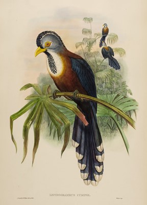 Lot 78 - Gould (John). Lepidogrammus Cumingi (Scale-Feathered Cuckoo), 1850-83