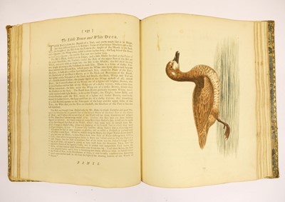 Lot 72 - Edwards (George). A Natural History of Uncommon Birds, parts 3 & 4 , 1750-1