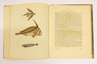 Lot 71 - Edwards (George). A Natural History of Uncommon Birds, 2 volumes, 1743 or later