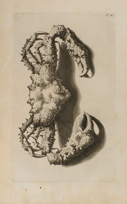 Lot 410 - Rumpf (Georg Eberhard). Thesaurus Imaginum Piscium Testaceorum..., 1711