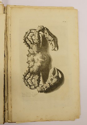 Lot 410 - Rumpf (Georg Eberhard). Thesaurus Imaginum Piscium Testaceorum..., 1711