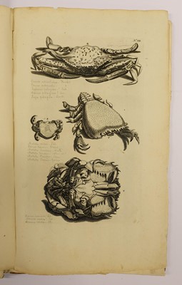 Lot 410 - Rumpf (Georg Eberhard). Thesaurus Imaginum Piscium Testaceorum..., 1711