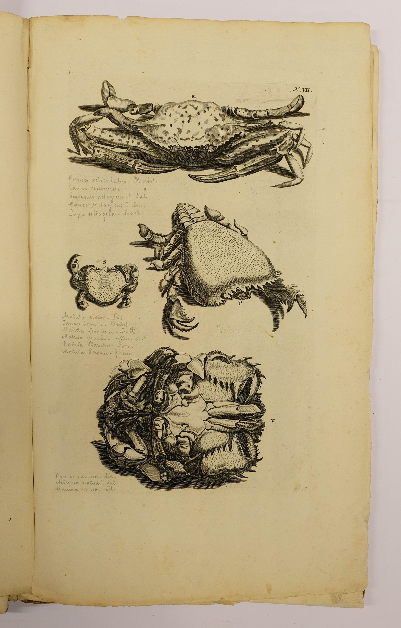 Lot 410 Rumpf Eberhard). Thesaurus Imaginum