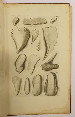 Lot 410 - Rumpf (Georg Eberhard). Thesaurus Imaginum Piscium Testaceorum..., 1711