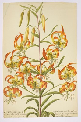 Lot 383 - Botany. A mixed collection of twenty-four prints, 18th & 19th century