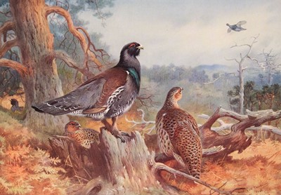 Lot 89 - Thorburn (Archibald). Game Birds and Wild-Fowl of Great Britain and Ireland, 1923