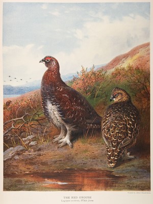 Lot 88 - Millais (John Guille). The Natural History of British Game Birds, 1909