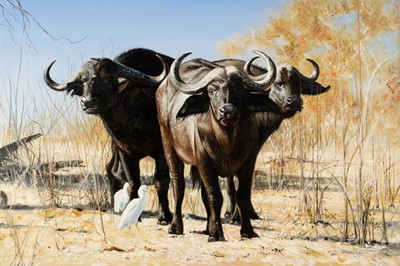 Lot 664 - McGarry (Pip, 1955- ). Chobe Buffaloes, 2000