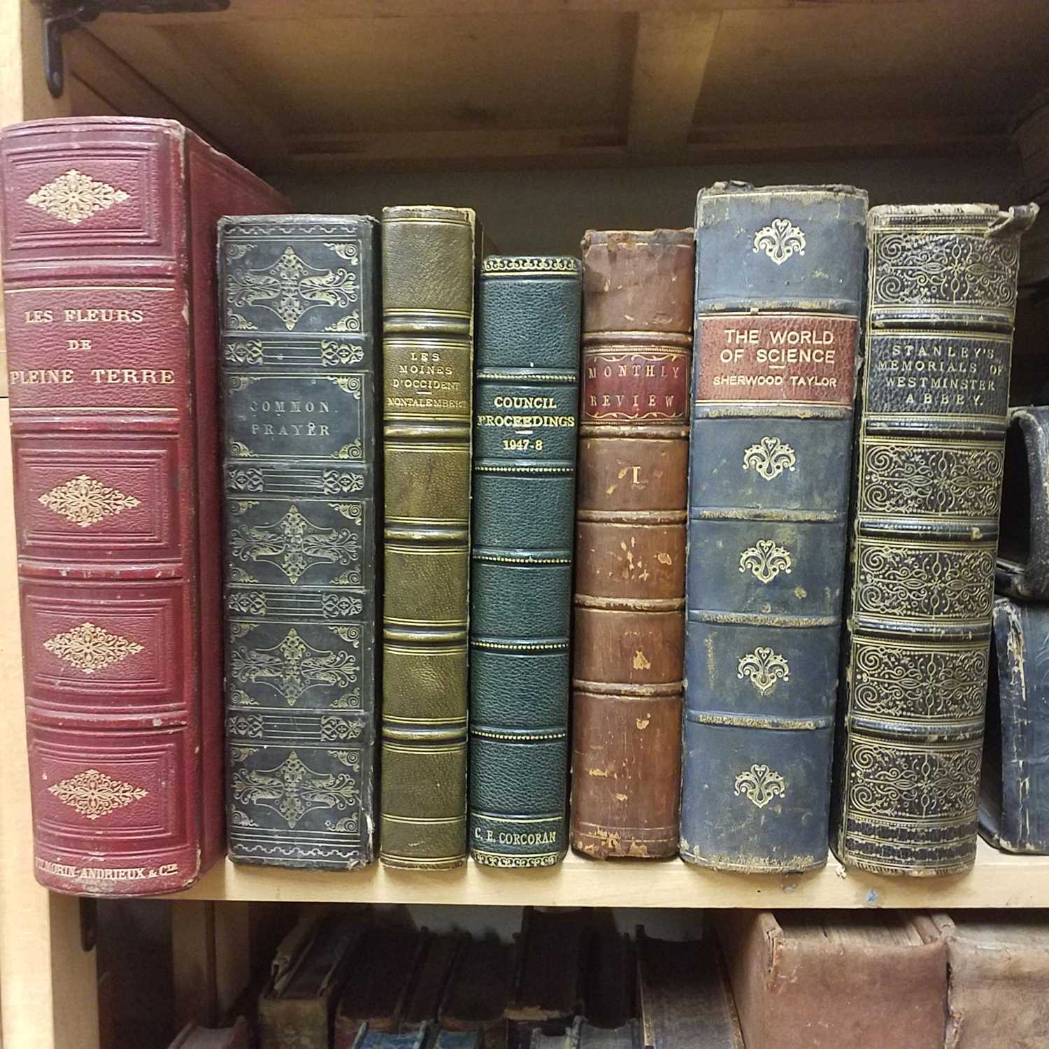 Lot 388 - Antiquarian. A collection of mostly 19th century literature & reference