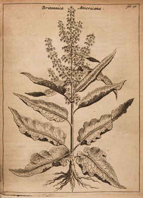 Lot 109 - Munting (Abraham). De vera Antiquorum Herba Britannica, 2 parts in one, Amsterdam, 1681/1680