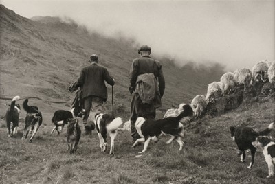 Lot 69 - Miller (Lee, 1907-1977). Rounding up, early 1970s, vintage gelatin silver print