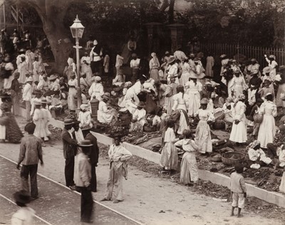 Lot 409 - West Indies. An album containing approximately 50 mounted photographs, c. 1900-1910