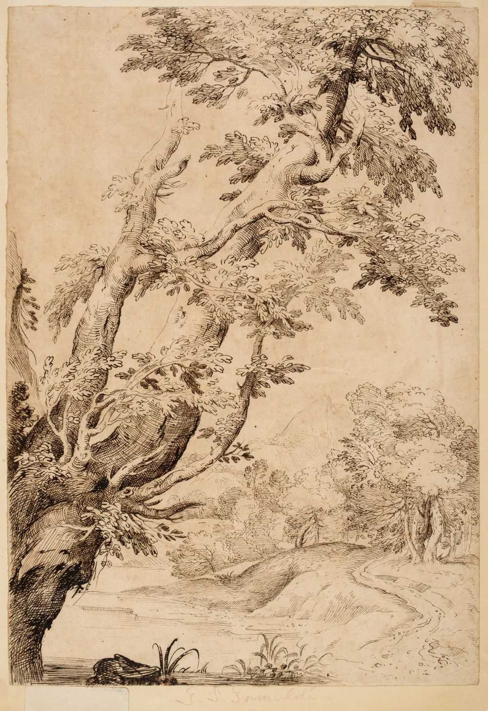 Lot 362 - Grimaldi (Giovanni Francesco, 1606-1680). Study of Trees in a River Landscape