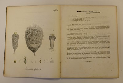 Lot 110 - Pfeiffer (Ludwig Georg Karl). Abbildung und Beschreibung Blühender Cacteen, 2 vols. in one, 1843-50