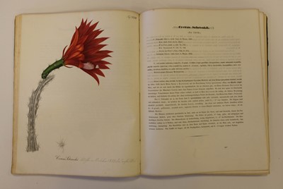 Lot 110 - Pfeiffer (Ludwig Georg Karl). Abbildung und Beschreibung Blühender Cacteen, 2 vols. in one, 1843-50