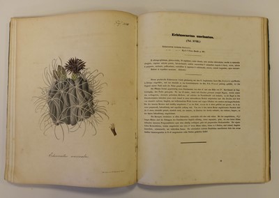 Lot 110 - Pfeiffer (Ludwig Georg Karl). Abbildung und Beschreibung Blühender Cacteen, 2 vols. in one, 1843-50