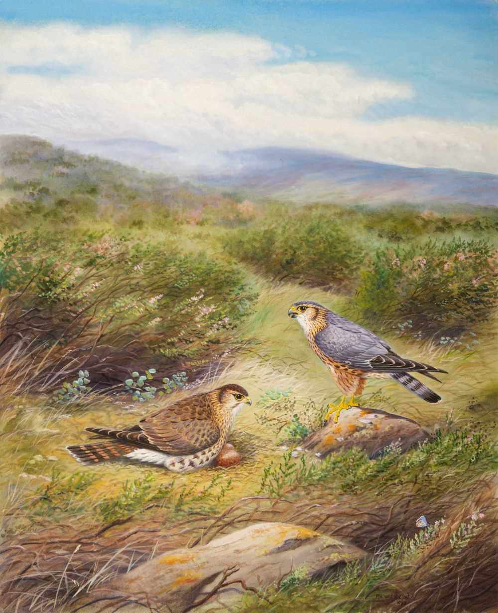 Lot 685 - Robjent (Richard, 1937 - ). Pair of Merlins