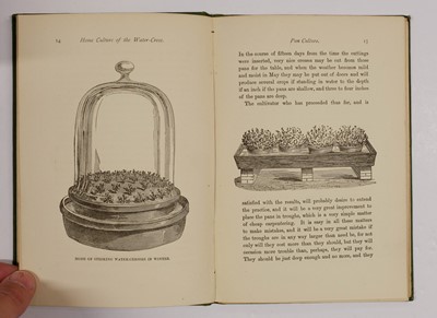 Lot 91 - Wooster (David). Alpine Plants, 2 volumes, 1872-74