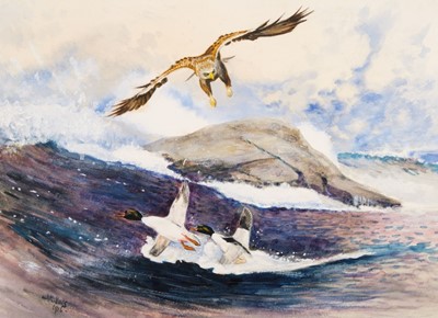 Lot 676 - Millais (J. G. 1865 - 1931). Sea Eagle swooping on Mergansers, 1916