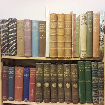 Lot 403 - Natural History. A large collection of natural history reference & related