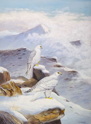 Lot 684 - Robjent (Richard, 1937 - ). Pair of Gyr Falcons, 1982