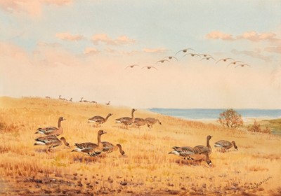 Lot 672 - Harrison (J. C.). White Fronted Geese on the stubbles