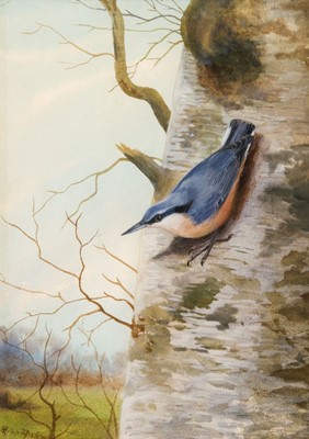 Lot 680 - Rickman (Philip, 1891 - 1982). Nuthatch