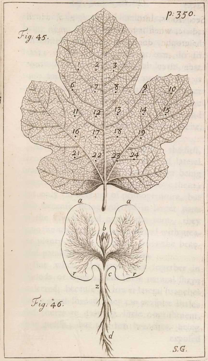 Lot 287 - Hales (Stephen). Vegetable Staticks, 1st edition, 1727