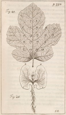 Lot 287 - Hales (Stephen). Vegetable Staticks, 1st edition, 1727