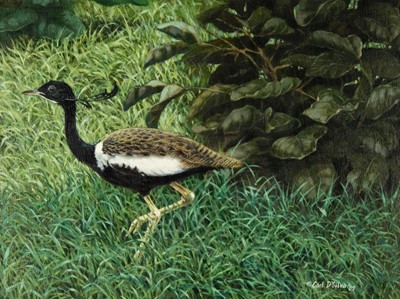 Lot 671 - D'Silva (Carl). Lesser Florican, 1989