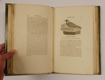 Lot 76 - Bewick (Thomas). History of British Birds, 3 volumes 1797-1821