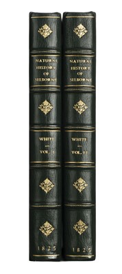 Lot 119 - White (Gilbert). The Natural History of Selborne, 2 vols., new edition, 1825