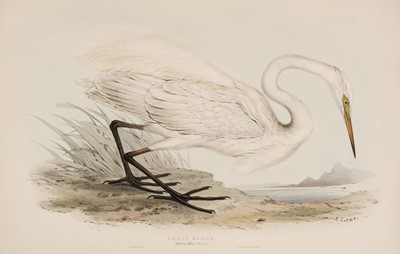 Lot 102 - Lear (Edward). Great Egret & Little Egret, 1832 - 37