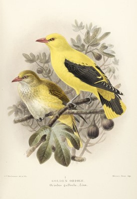 Lot 145 - Lilford (Lord). Coloured Figures of the Birds of the British Islands, 2nd edition, 1891-7