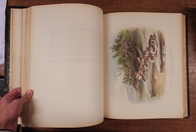 Lot 130 - Booth (E. T.). Rough Notes on Birds Observed during Twenty-Five Years' Shooting, 1st edition, 1881-7