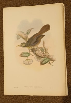 Lot 86 - Gould (J. & Hart W.), Six prints from The Birds of New Guinea 1875 - 88