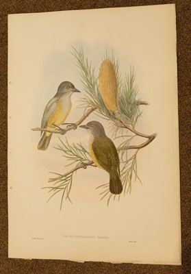 Lot 86 - Gould (J. & Hart W.), Six prints from The Birds of New Guinea 1875 - 88