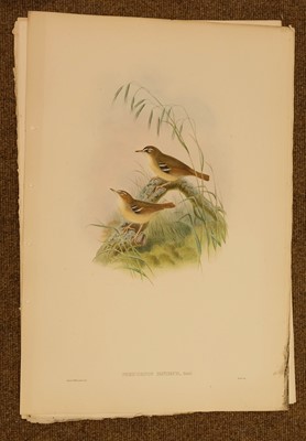 Lot 85 - Gould (J. & Hart W.), Six lithographs from The Birds of New Guinea, 1875 - 88