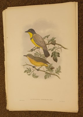 Lot 87 - Gould (J. & Hart W.). Six prints from The Birds of New Guinea, 1875 - 88