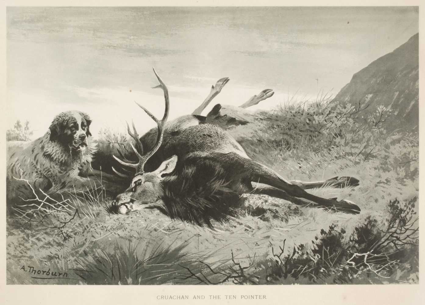 Lot 364 - Thorburn (Archibald, 1860 -1935). Six plates from A. Grimble's 'Highland Sport'