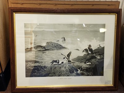 Lot 364 - Thorburn (Archibald, 1860 -1935). Six plates from A. Grimble's 'Highland Sport'