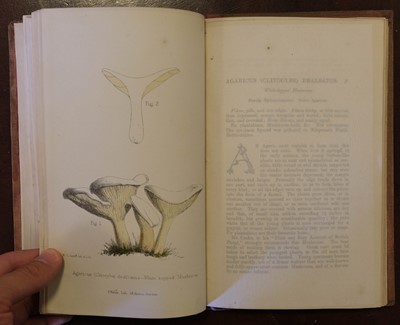 Lot 99 - Hogg (Robert & Johnson, George W., editors). A Selection of the Eatable Funguses ... , [1866]