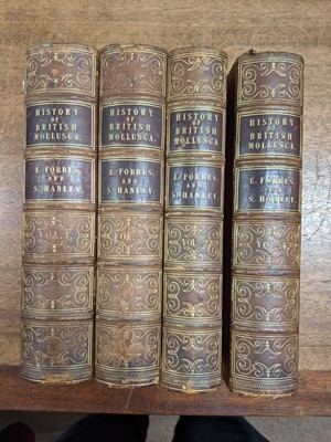 Lot 134 - Forbes (Edward). A History of British Mollusca, 1st edition, large-paper issue, 1853, & 2 others