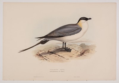 Lot 95 - Gould, (John, 1804-1881). 4 hand-coloured lithographs, Natural History