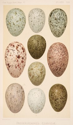 Lot 162 - Oates (Eugene W.) Catalogue of the Birds' Eggs in the British Museum, 1st edition, 1901-12