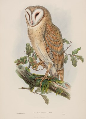 Lot 92 - Gould (John, 1804-1881). Strix Indica (Indian Screech Owl), from The Birds of Asia, 1850-83