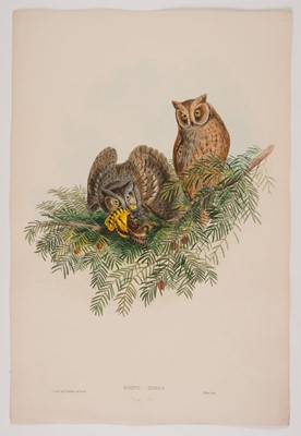 Lot 90 - Gould (John, 1804-1881). 4 hand-coloured lithographs from Birds of Great Britain & Century of Birds